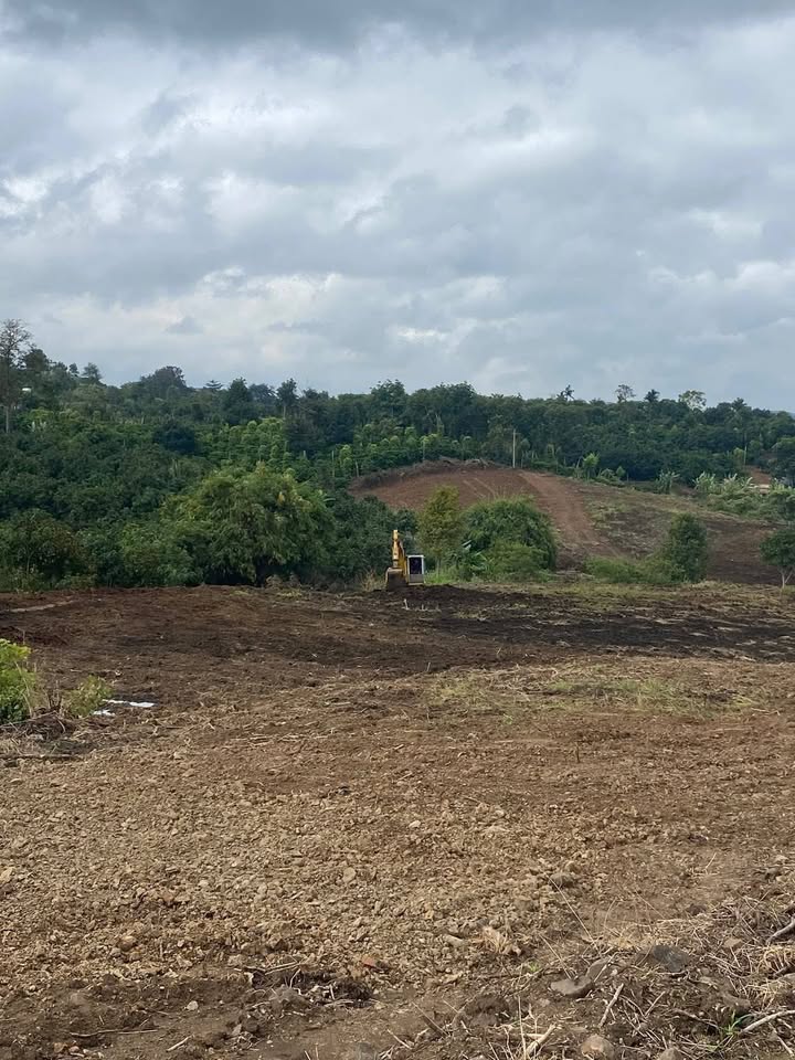 Đất nền Đắk Gằn 40,000m² giá 2.7 tỷ - Đầu tư sinh lời ngay lập tức!