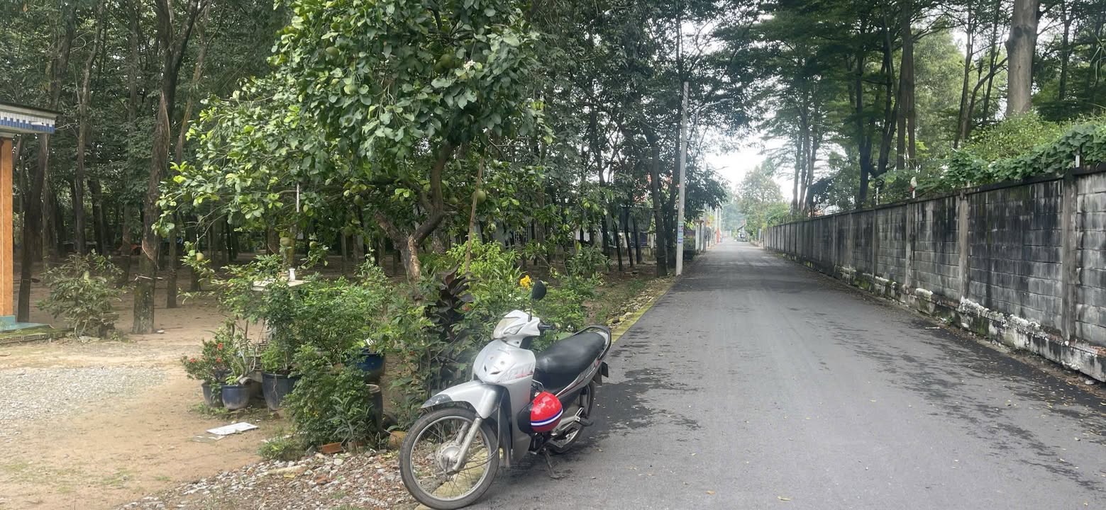 Đất nền Hòa Lợi Bến Cát 11.000m² giá 30 tỷ - Cơ hội đầu tư sinh lời!