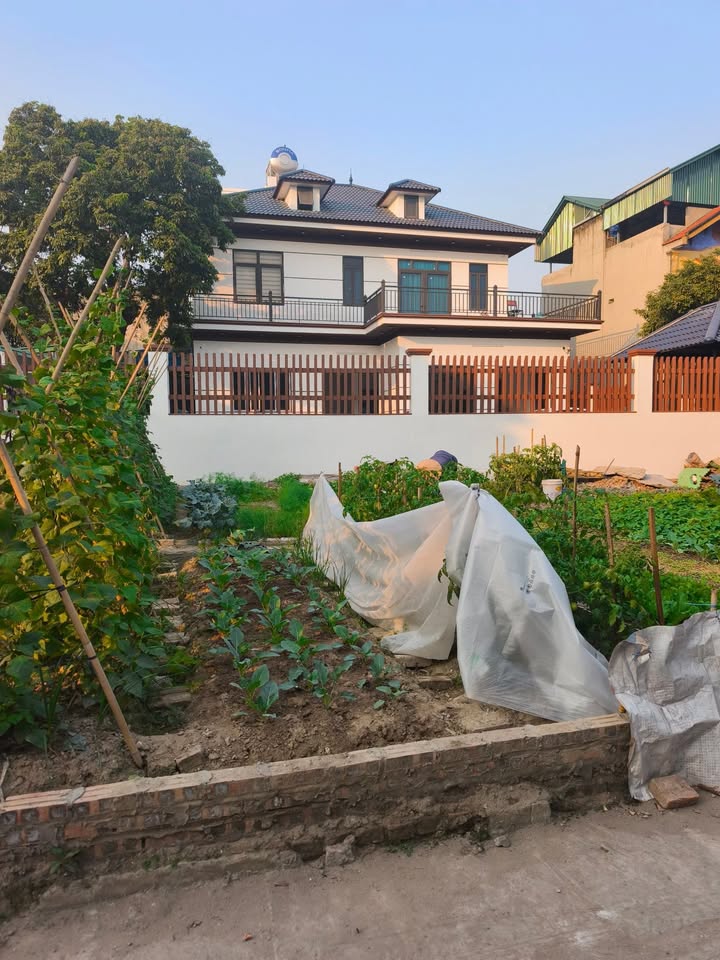 Đất nền Tam Á, Thuận Thành, Bắc Ninh 44m² giá 1 tỷ - Đường ô tô vào tận nơi!