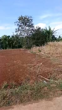 Đất nền Xã Ea Tiêu, Huyện Cư Kuin 130m² giá 360 triệu - Mặt tiền đường bê tông thuận lợi!