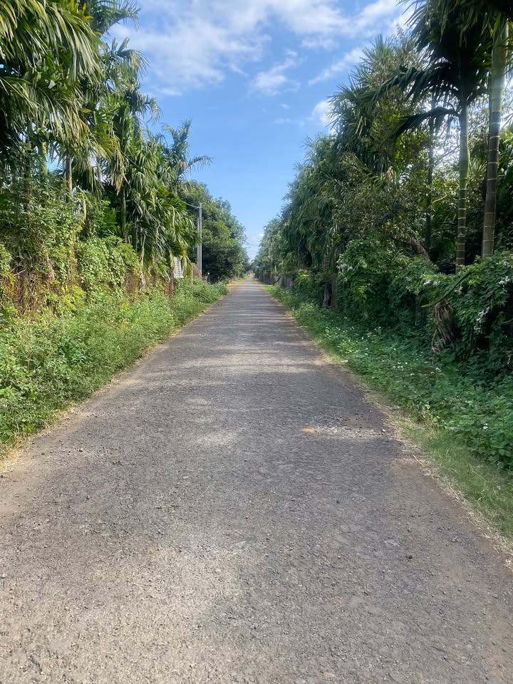 Đất thổ cư Trung Hoà Eaktur 910m² giá 1.05 tỷ - Đường nhựa thông thuận tiện