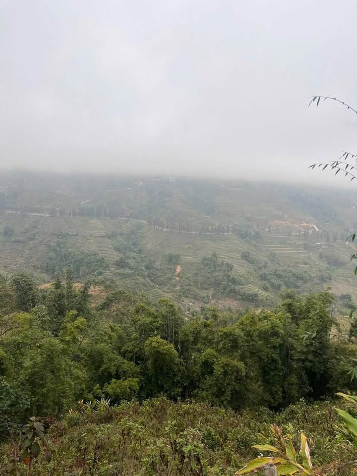 Đất nền 4,700m² tại Sa Pa giá 2.35 tỷ - Đầu tư nghỉ dưỡng lý tưởng!