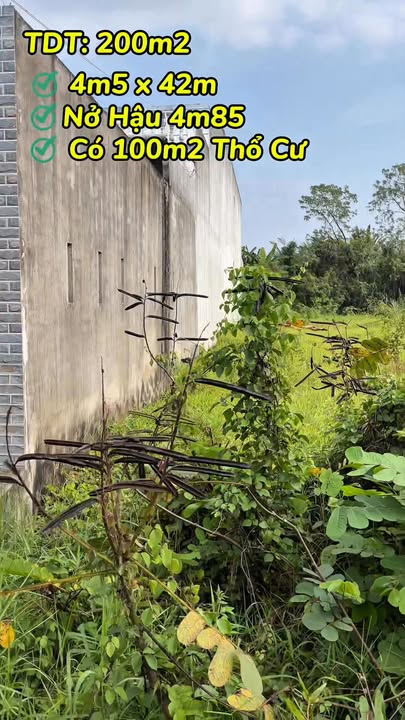 Đất thổ cư 100m² tại Xã Mỹ Đông, Huyện Tháp Mười - Giá chỉ 5xx triệu, bớt lộc cho khách thiện chí!