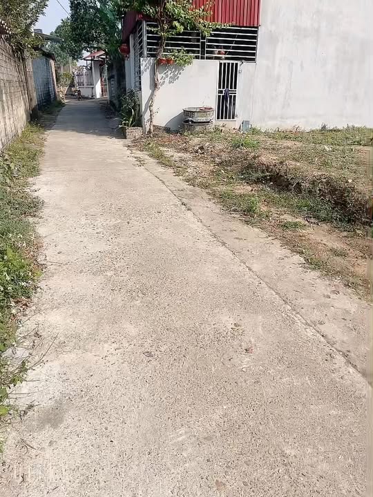 Đất nền Thường Thắng, Hiệp Hòa 100m² giá 600 triệu - Cơ hội đầu tư tuyệt vời!