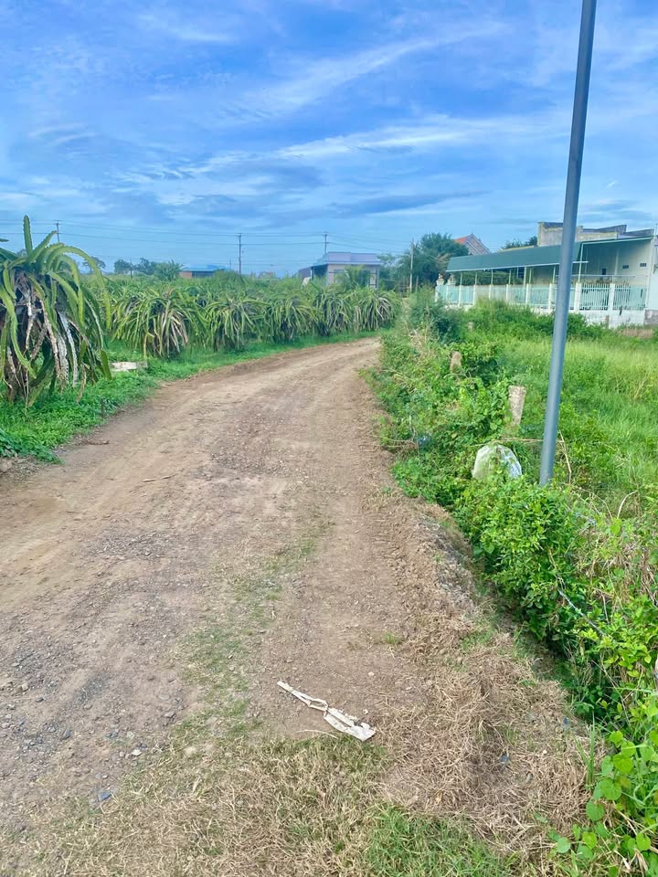 Đất nền Phú Điền, Hàm Hiệp 732m² - Giá bán hấp dẫn chỉ từ 600 triệu!