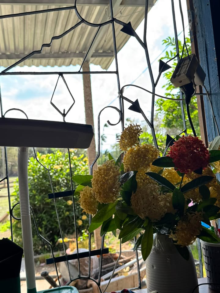 Đất nền TDP Phú Thứ, Phường Hoà Thắng, 135m² giá 490 triệu - Cơ hội đầu tư hấp dẫn!