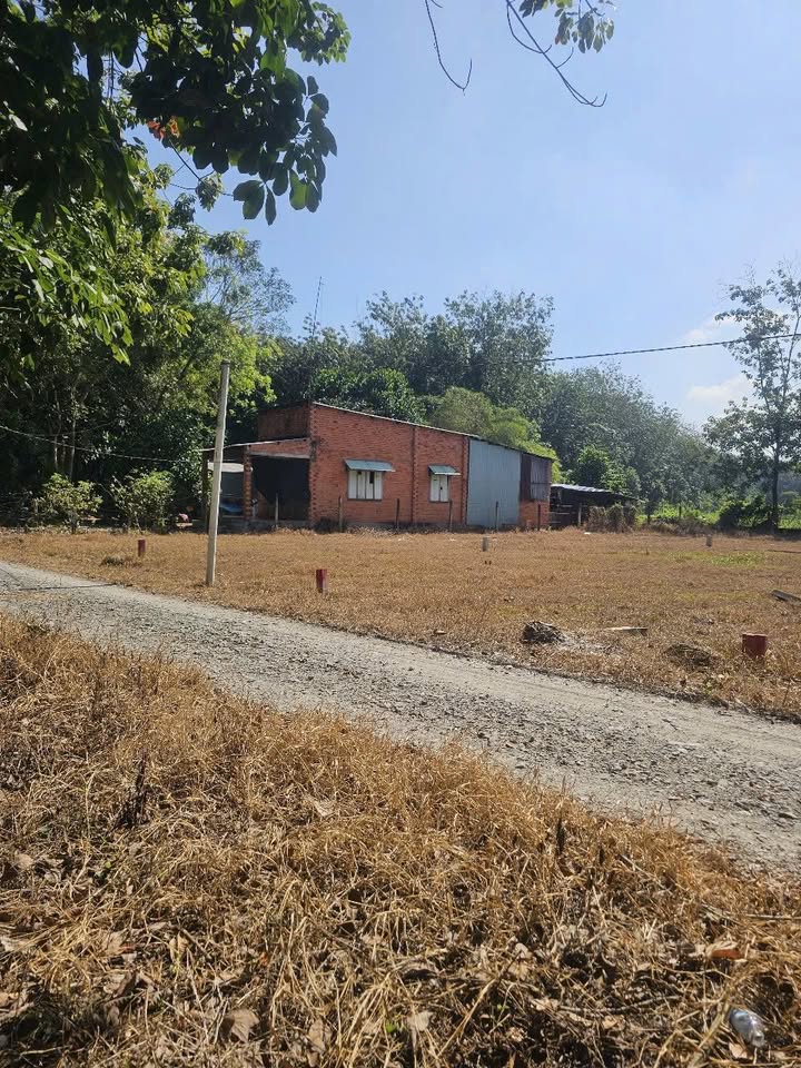 Đất nền Hưng Thuận Trảng Bàng Tây Ninh 400m² giá 4.8 tỷ - Tiềm năng phát triển mạnh mẽ!