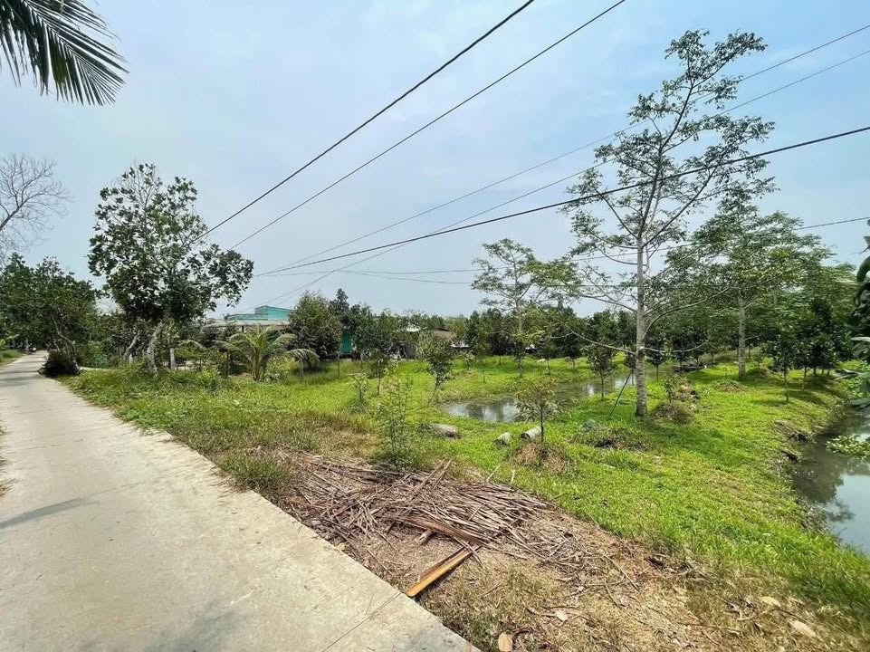 Đất vườn 11 Công - Xã Phú Hữu, Cần Thơ chỉ 360 triệu - Sổ riêng, vuông đẹp!