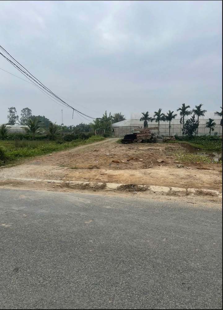 Đất nền Yên Hạnh, Nga Sơn 120m² giá 1.xx tỷ - Cơ hội đầu tư hiếm có!