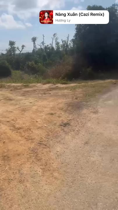 Đất nông nghiệp 6 sào Thanh Xuân - Giá chỉ 960 triệu, đầu tư sinh lời!