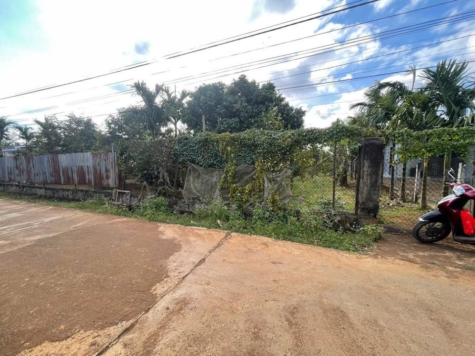 Đất thổ cư Cư Bao, Buôn Hồ 929m² giá 2.2 tỷ - Đường ô tô thuận tiện!