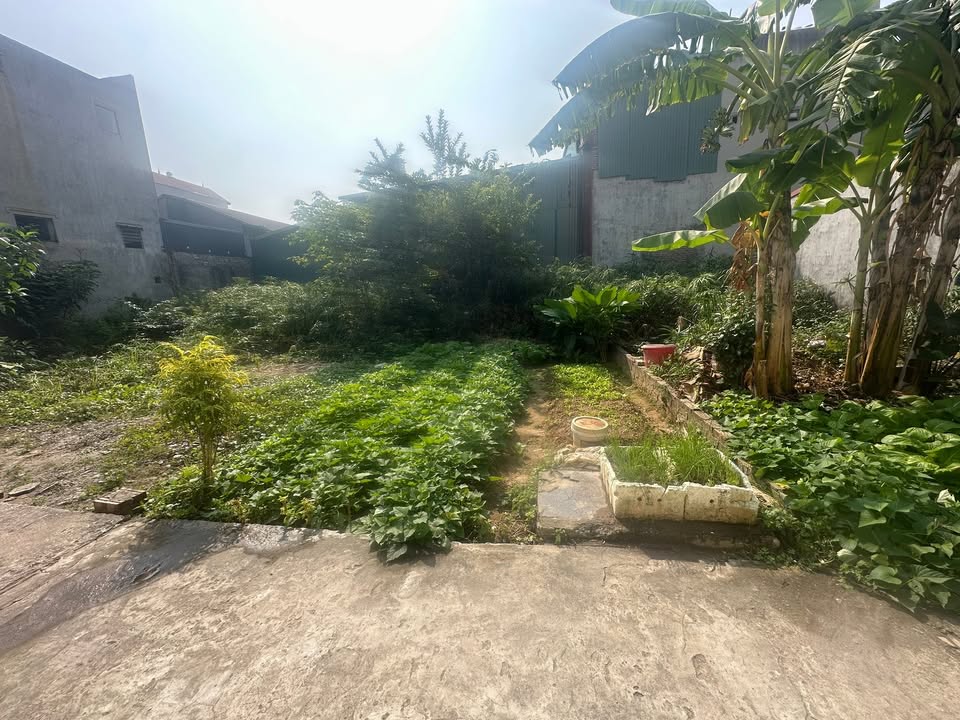 Bán đất Bắc Hồng – Đông Anh 54m² giá 3.x tỷ - Ô tô vào tận đất!