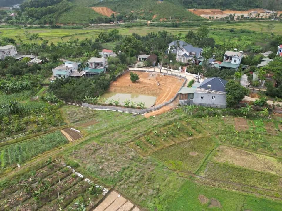 Đất nghỉ dưỡng 1485m² tại Yên Bình, Thạch Thất - Tiềm năng đầu tư lớn!