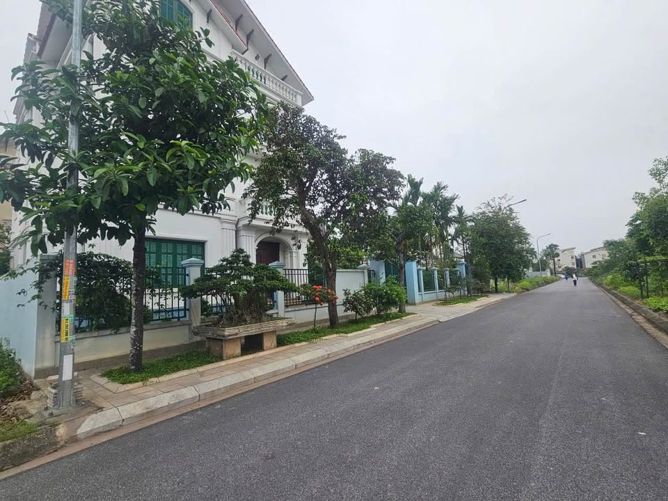 Biệt thự Đại Hoàng Long Võ Cường 270m² - Pháp lý rõ ràng, giao dịch ngay!