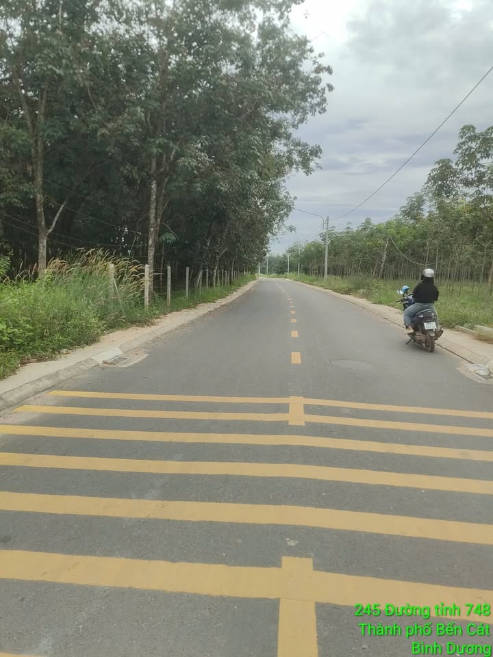 Đất nền An Điền Bến Cát 1353m² giá 3.6 tỷ - Cơ hội đầu tư tuyệt vời!