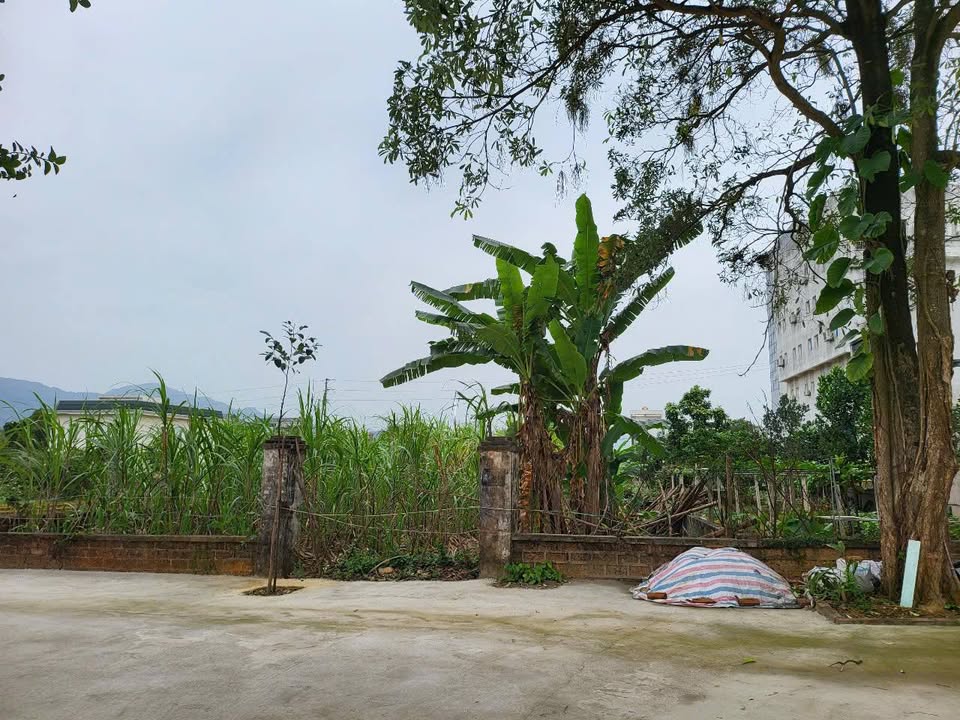 Đất nền khu tái định cư Vai Réo, Phú Cát 552m² - Mặt tiền rộng, giá thỏa thuận!