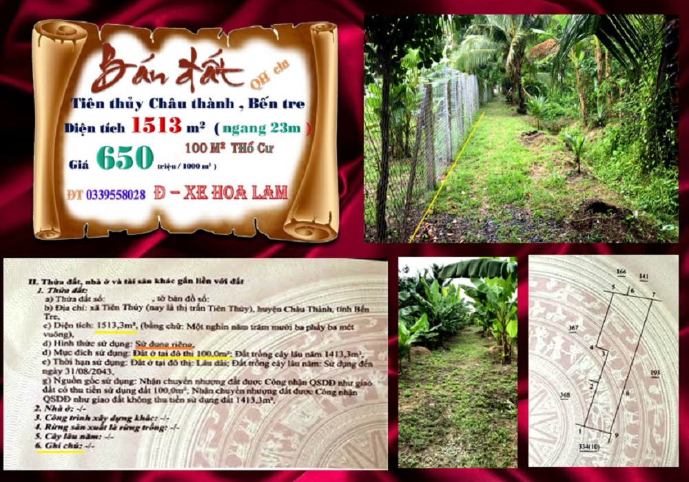 Đất nền Tiên Thủy, Châu Thành, Bến Tre 1513m² - Giá chốt hấp dẫn 575 triệu