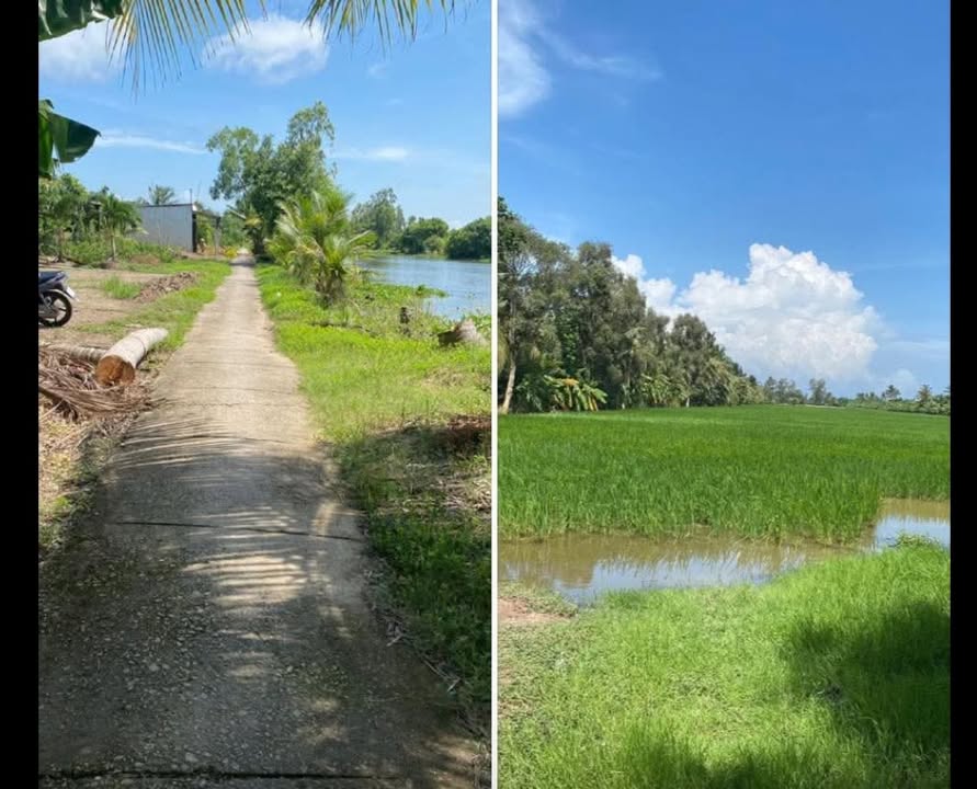 Đất ruộng Ấp Rạch Lùm, Xã Khánh Hưng, Cà Mau 36.000m² - Giá chỉ 1.6 tỷ!