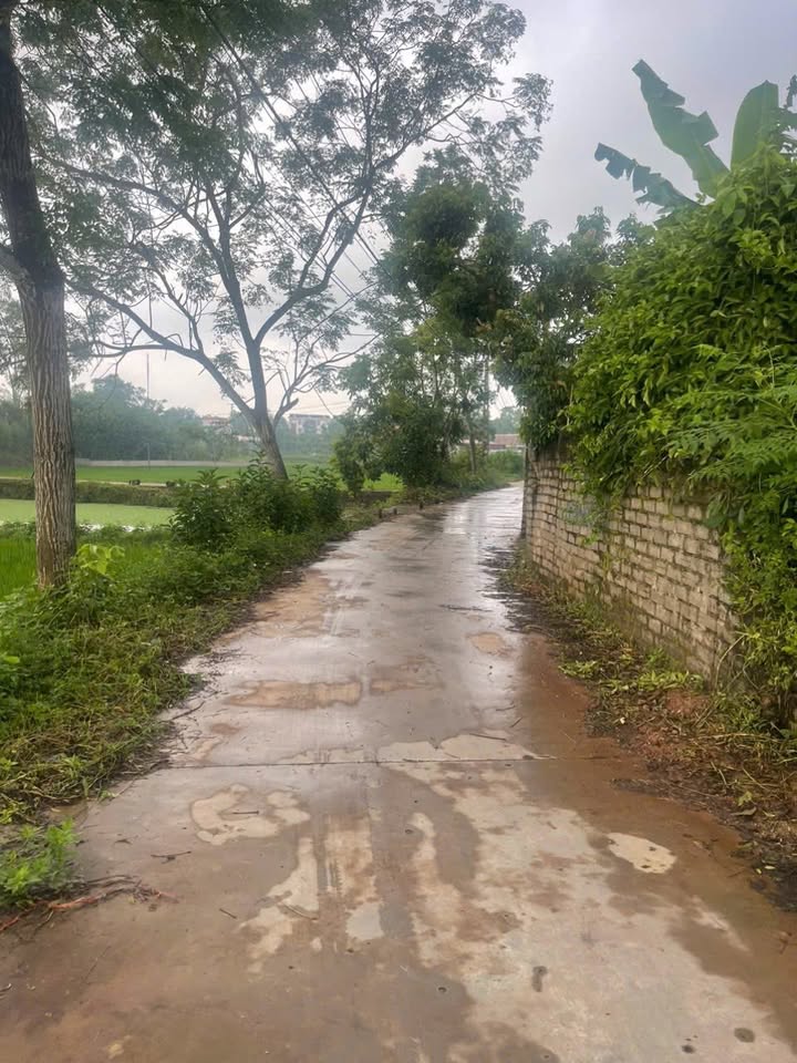 Đất nền xã Đồng Kỳ, Huyện Yên Thế 105m² giá 700 triệu - Đầu tư sinh lời tốt!