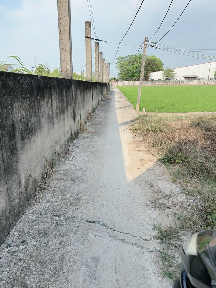 Đất thổ cư Ấp 4 Nhựt Chánh, Bến Lức 100m² giá 569 triệu - Sổ hồng chính chủ