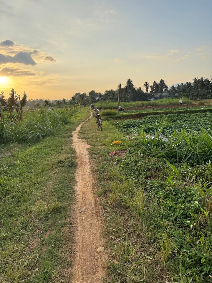 Đất trồng cây hàng năm tại khu phố Hòa Trung 1, Hoài Nhơn 423m² - Cơ hội đầu tư tốt!