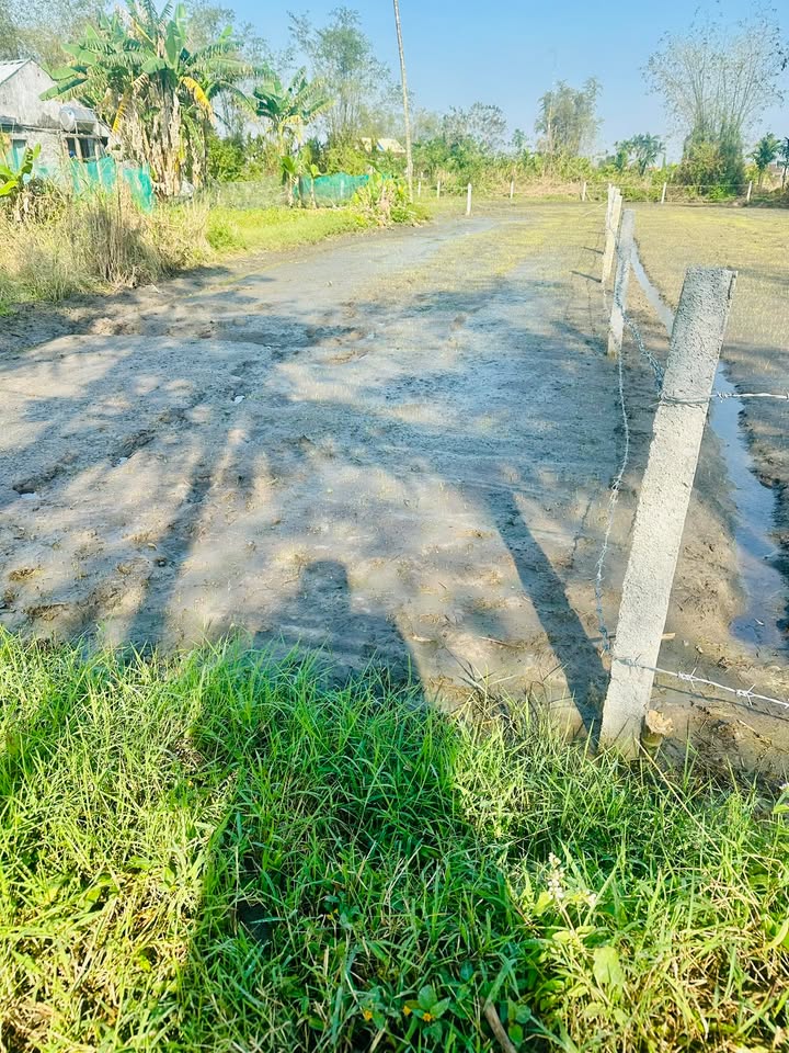 Đất nền Quý Mỹ, Thăng Bình 167m² giá chỉ từ 100 triệu - Cơ hội đầu tư tuyệt vời!