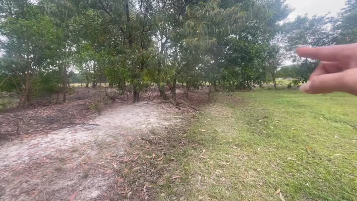 Đất mặt tiền 500m² xã Bình Dương, huyện Thăng Bình - Giá chỉ 300 triệu!