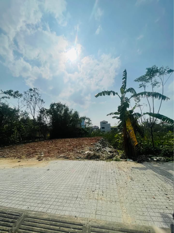 Đất nền khu quy hoạch TDP Hậu Thượng, Thạch Hưng 164m² giá 3 tỷ - Vị trí đắc địa, hạ tầng đồng bộ!