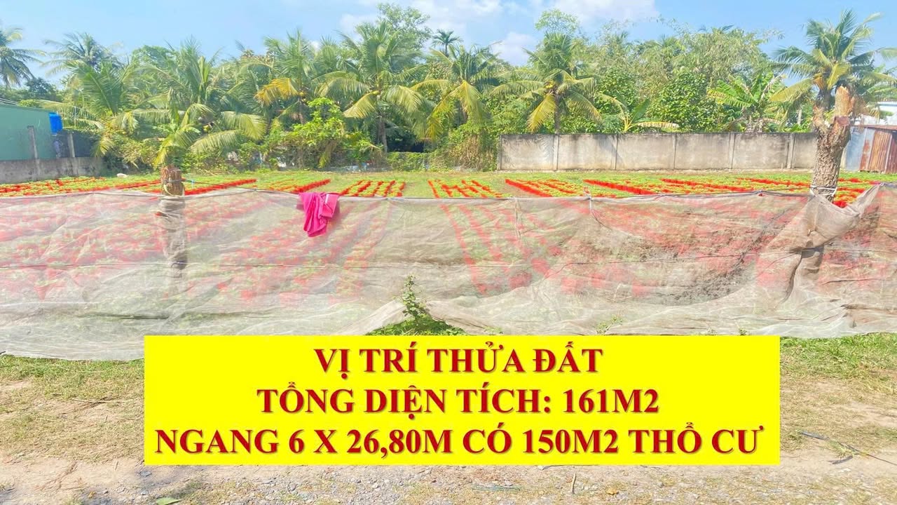 Đất thổ cư 161m² xã Thanh Đức, huyện Long Hồ, Vĩnh Long - Giá chỉ 1.9 tỷ!