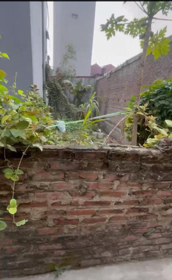 Đất nền Đông Mỹ, Thanh Trì 60.5m² giá 4.5 tỷ - Sổ đỏ chính chủ, tiềm năng tăng giá!