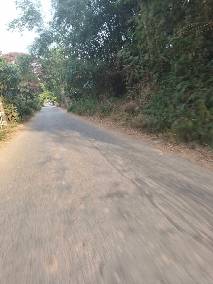 Đất mặt tiền ấp Sa Văng, xã Đôn Châu, 475m² chỉ 390 triệu - Cơ hội đầu tư hấp dẫn!