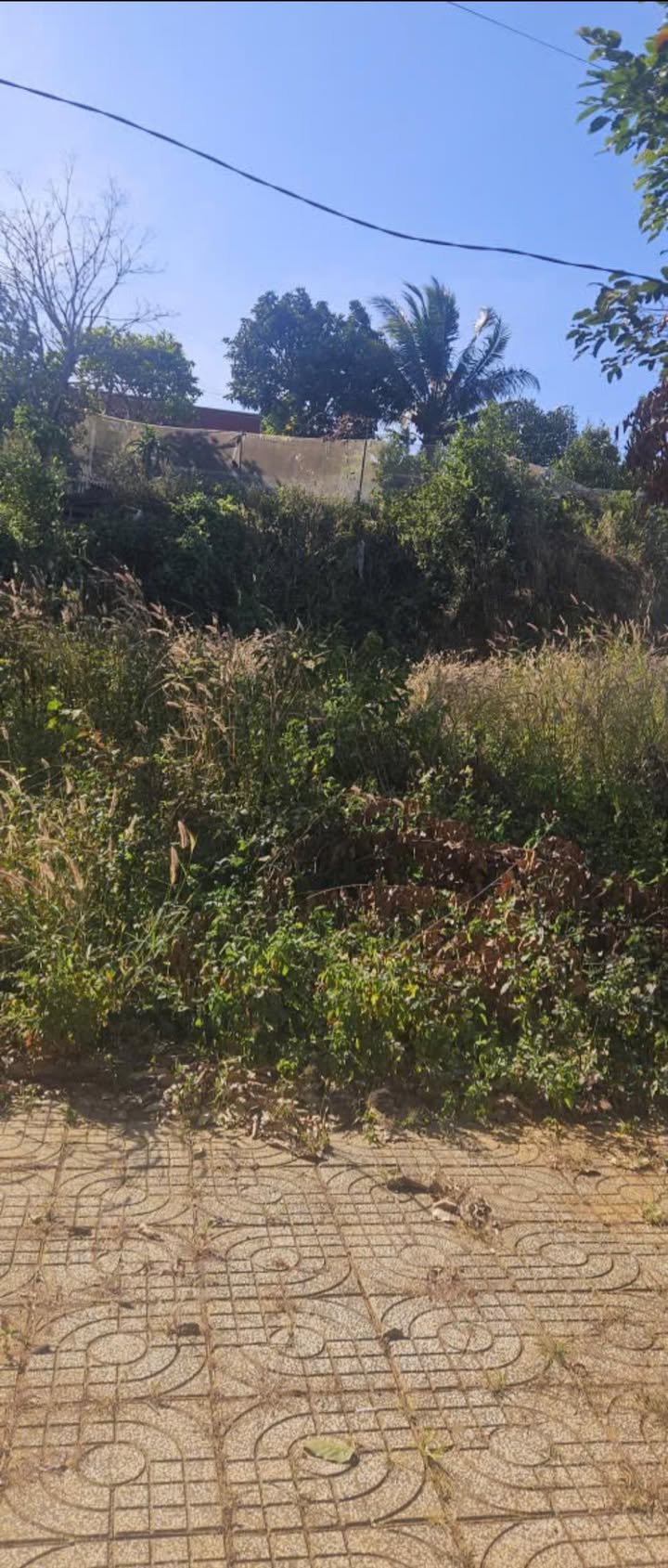 Đất nền 125m² tại Gia Nghĩa chỉ 1 tỷ - Mặt tiền đường Thái Phiên