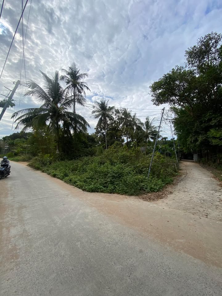 FrontHouse 650m² Trần Hưng Đạo, Phú Quốc - Kinh doanh lưu trú tuyệt vời!