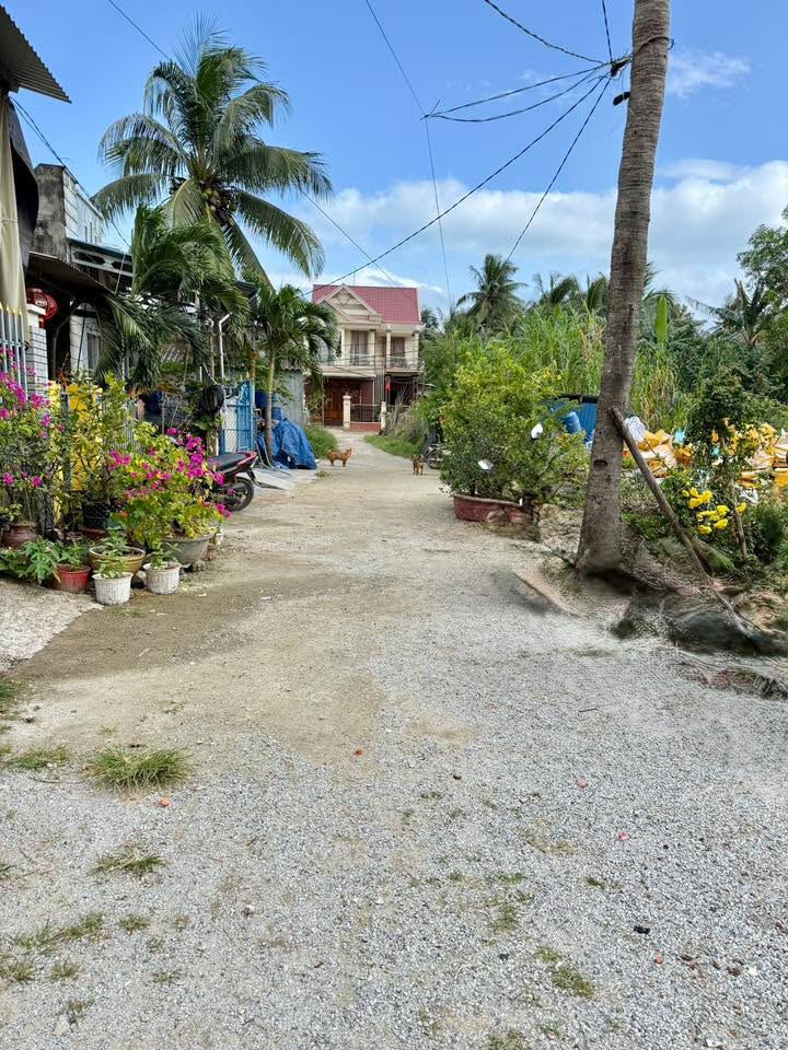 Đất thổ cư phường Tam Quan Bắc, Bình Định 116m² chỉ từ 600 triệu - Cơ hội đầu tư hiếm có!