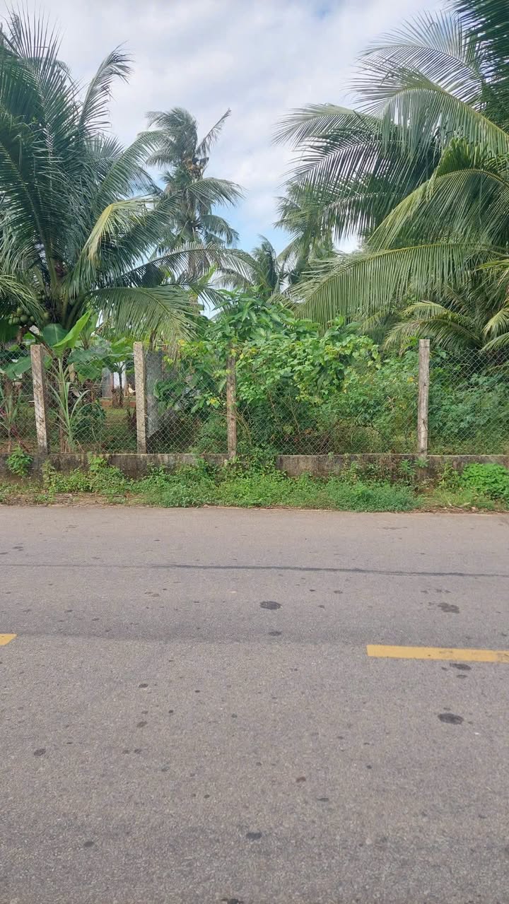 Đất thổ cư 180m² phường Hoài Xuân giá chỉ 9xx triệu - Cơ hội đầu tư tuyệt vời!