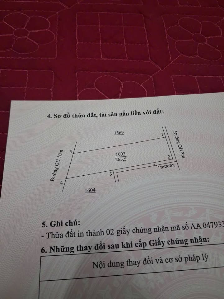 Đất đấu giá xóm Nhân Hậu, xã Kim Liên 265.5m² giá 2 tỷ - Cơ hội đầu tư hấp dẫn!