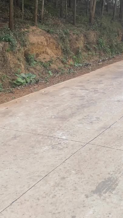 Đất rừng 1700m² tại xã Gia Lâm, Ninh Bình - Giá hợp lý, giao dịch chính chủ!