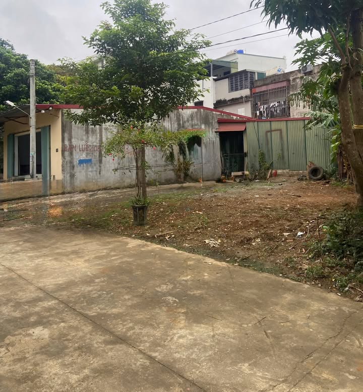 Đất nền Tổ 4 Tây Sơn 135m² giá 2.5 tỷ - Hướng Nam siêu đẹp!