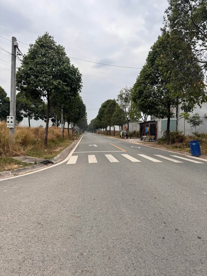 Đất Phú Tân - Thủ Dầu Một 142m² giá 2.x tỷ - Đầu tư sinh lời hấp dẫn!