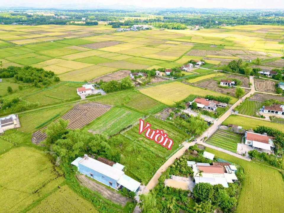 Đất thổ cư 800m² tại Xã Thăng Bình, Quảng Nam - View triệu đô chỉ 979 triệu!
