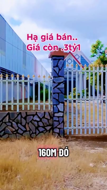 Bán gấp nhà vườn đẹp tại Phú An, Liên Chiểu, Đà Nẵng 2400m² giá chỉ 3.1 tỷ!