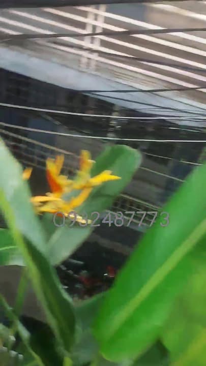 Nhà 2 tầng 50m² tại Lê Duẩn, Đà Nẵng - Full nội thất, chỉ cần xách vali vào ở!