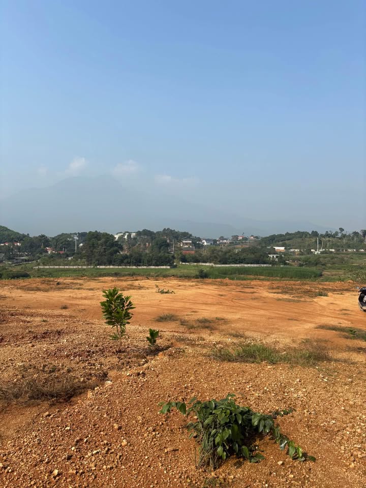 Đất Yên Bài 5000m² giá thỏa thuận - View cánh đồng núi tuyệt đẹp!