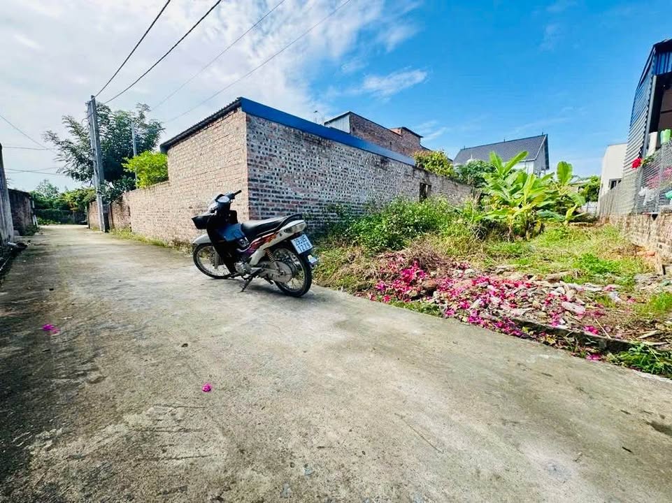 Đất Yên Ninh, Hiền Ninh, Sóc Sơn 113m² giá nhỉnh 3 tỷ - Đầu tư sinh lời hấp dẫn!