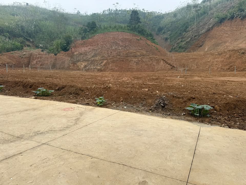 Đất thổ cư khu Rừng Mơ - TP Bắc Kạn 500m² - Đầu tư sinh lời lý tưởng!