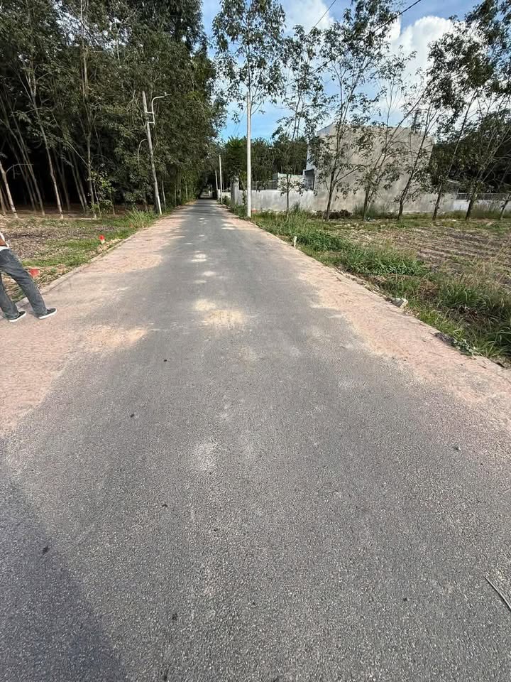 Đất thổ cư 220m² tại Chánh Phú Hòa, Bến Cát - Giá chỉ 1 tỷ!