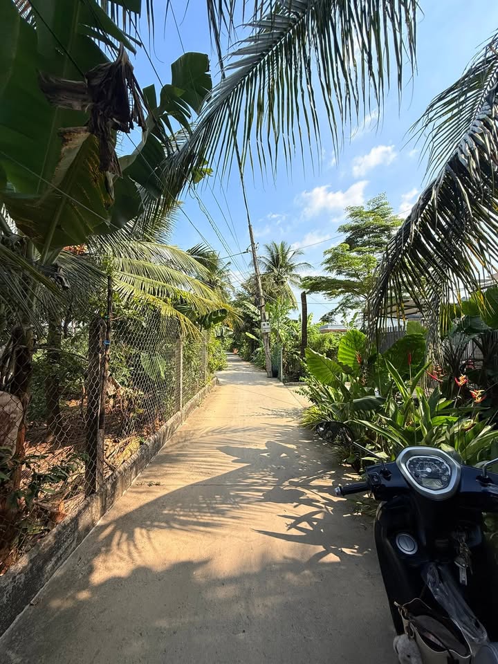 Đất nền Mỹ Hưng, Mỹ Phong, Mỹ Tho 90m² giá chỉ 600 triệu - Sổ hồng chính chủ