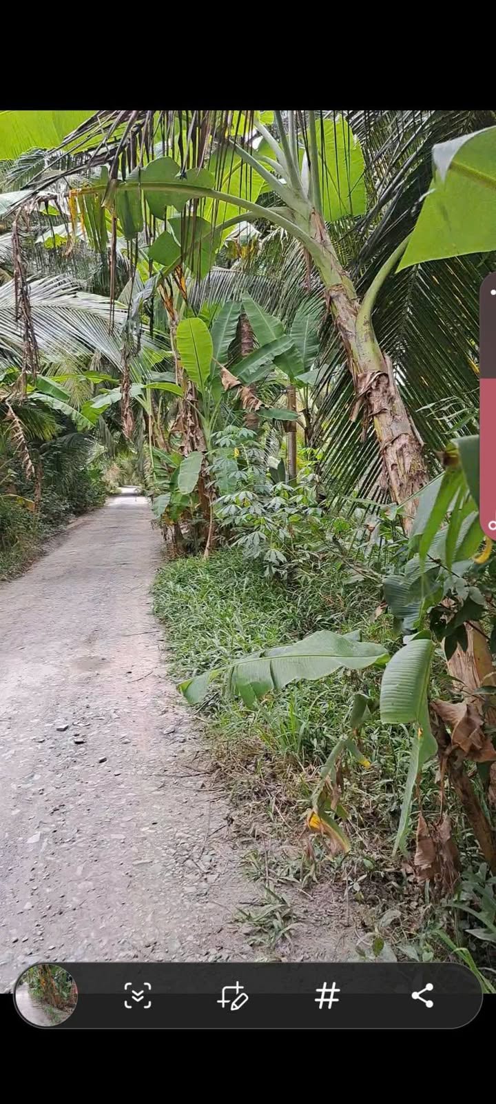 Đất An Phú, Chợ Gạo 2.542m² giá 1,4 tỷ - Cơ hội đầu tư sinh lời!