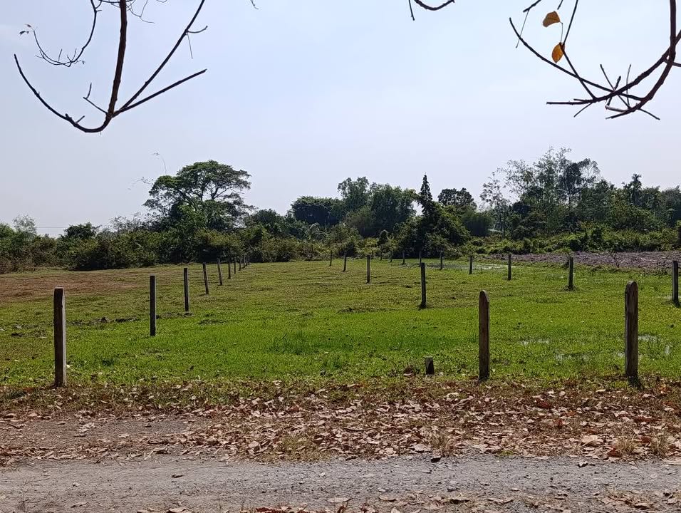 Đất nền Lộc Khê, Gia Lộc, Trảng Bàng 354m² giá 370 triệu - Cơ hội đầu tư sinh lời!