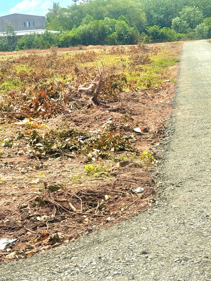 Đất thổ cư 5x28m tại Chà Là, Tây Ninh giá 260 triệu - Sổ hồng riêng, ô tô vào tận nơi!